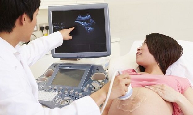 Cara Efektif Menguasai Teknik USG Abdomen di Workshop Profesional